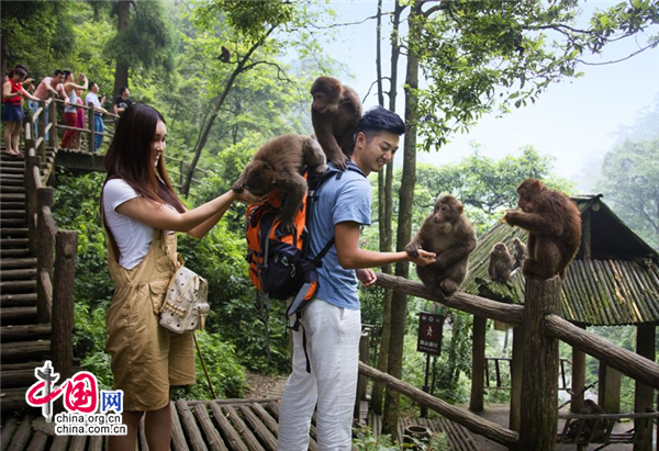 2017峨眉山國際登山節(jié)將啟 樂山市民免費耍