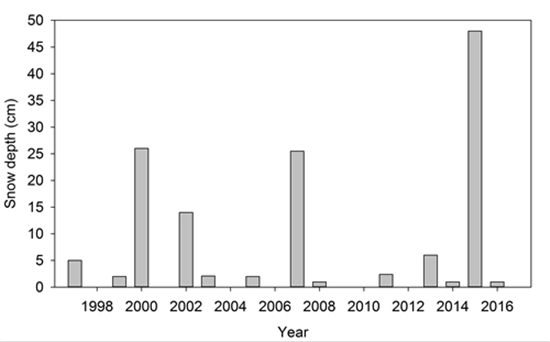 強降雪顯著削弱哀牢山亞熱帶森林碳匯功能 強降雪顯著削弱哀牢山亞熱帶森林碳匯功能