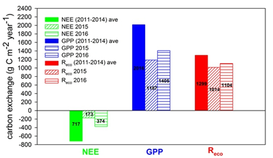 強降雪顯著削弱哀牢山亞熱帶森林碳匯功能 強降雪顯著削弱哀牢山亞熱帶森林碳匯功能