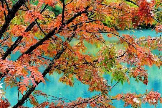 九寨溝震后首個(gè)秋:還是記憶中的童話(huà)世界