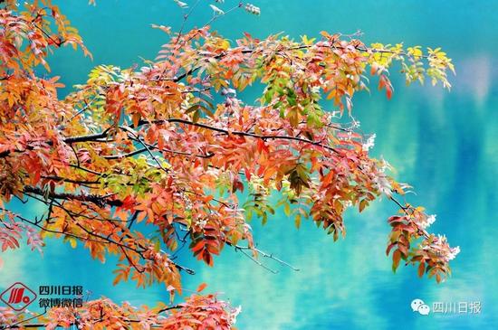 實(shí)拍九寨溝震后首個(gè)秋:還是記憶中的童話(huà)世界