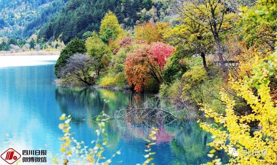 九寨溝震后首個(gè)秋:還是記憶中的童話(huà)世界