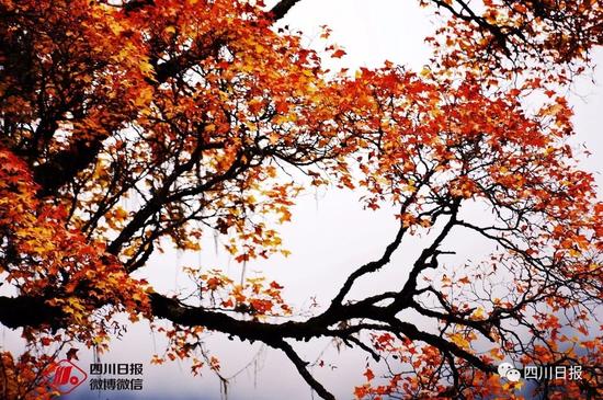 九寨溝震后首個(gè)秋:還是記憶中的童話(huà)世界