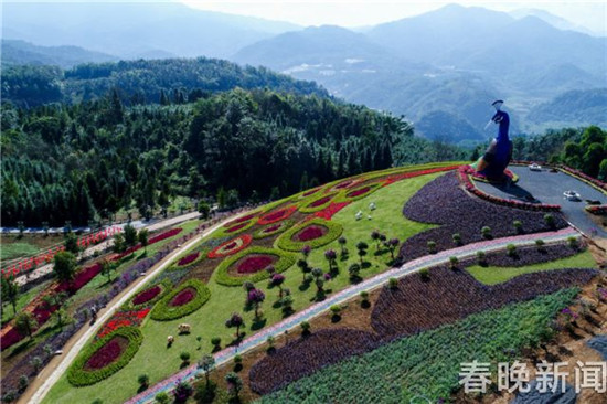 德宏芒市孔雀谷開(kāi)門(mén)迎客 將放養(yǎng)五萬(wàn)只孔雀 德宏芒市孔雀谷開(kāi)門(mén)迎客 將放養(yǎng)五萬(wàn)只孔雀