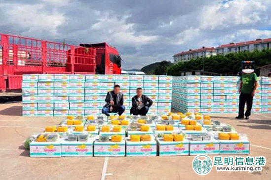 楚雄市警方破獲歷年最大毒品案 從56噸香蕉中繳獲毒品65公斤