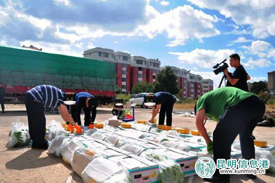 楚雄市警方破獲歷年最大毒品案 從56噸香蕉中繳獲毒品65公斤