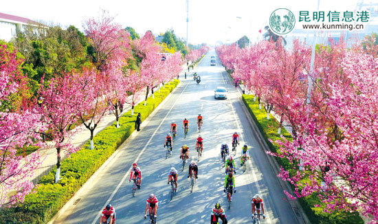 2016年昆明高原環(huán)滇池自行車賽