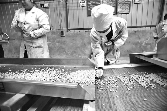 記者探訪鷗糧制作：新型鷗糧不沉水更具營養(yǎng)