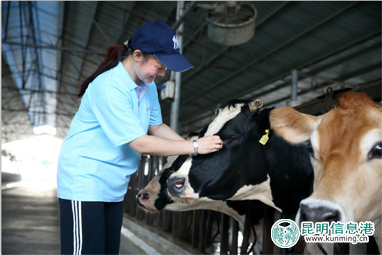 《企業(yè)社會(huì)責(zé)任藍(lán)皮書(shū)(2017)》發(fā)布 蒙牛蟬聯(lián)乳業(yè)第一 《企業(yè)社會(huì)責(zé)任藍(lán)皮書(shū)(2017)》發(fā)布 蒙牛蟬聯(lián)乳業(yè)第一