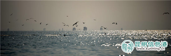 “最美開湖季粉絲團(tuán)”泛舟滇池 攝影發(fā)燒友感受開湖盛景