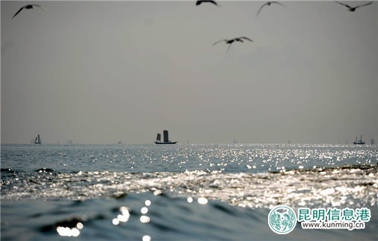 “最美開湖季粉絲團(tuán)”泛舟滇池 攝影發(fā)燒友感受開湖盛景