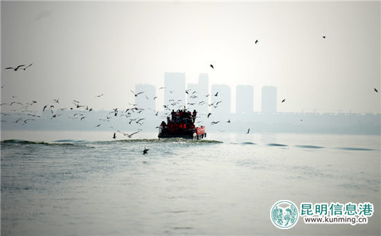 “最美開湖季粉絲團(tuán)”泛舟滇池 攝影發(fā)燒友感受開湖盛景