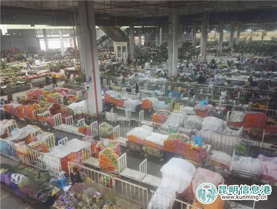 昆明推進高原特色都市現(xiàn)代農(nóng)業(yè)發(fā)展 著力打造農(nóng)業(yè)產(chǎn)業(yè)六大中心 昆明推進高原特色都市現(xiàn)代農(nóng)業(yè)發(fā)展 著力打造農(nóng)業(yè)產(chǎn)業(yè)六大中心