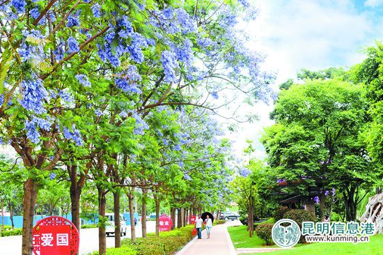 安寧邁入“全國文明城市”方陣：文明安寧 幸福花開