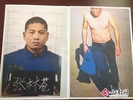 張林蒼越獄案今日開審 半小時不到突然休庭