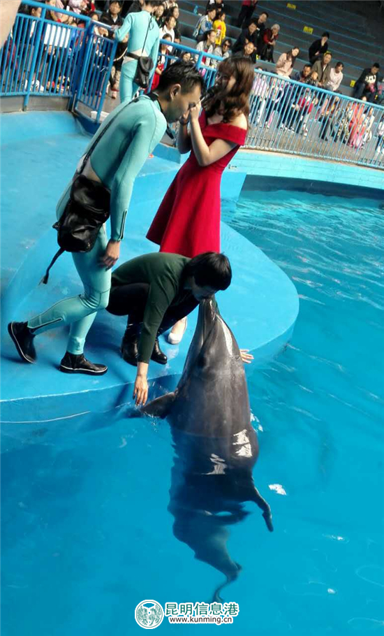 “呈貢一日游”正式發(fā)布 網(wǎng)羅冰心默廬等四大著名景點