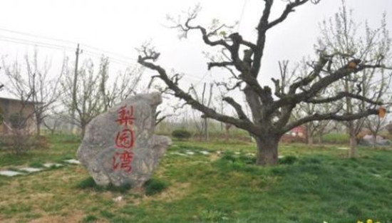 “一村一品一店”成為富民強區(qū)新引擎 “一村一品一店”成為富民強區(qū)新引擎