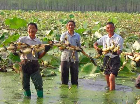 “一村一品一店”成為富民強區(qū)新引擎 “一村一品一店”成為富民強區(qū)新引擎