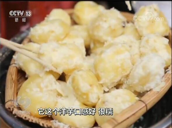 東川李子溝村立足“開花洋芋”優(yōu)勢精準扶貧 引起央視焦點訪談關(guān)注