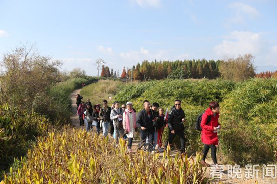 保護(hù)滇池志愿者活動(dòng)收官 像愛(ài)護(hù)眼睛一樣保護(hù)昆明母親湖