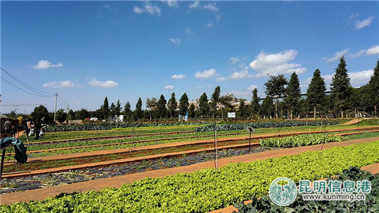 晨農(nóng)生態(tài)園 晨農(nóng)生態(tài)園