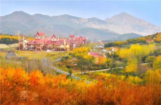 青島這些鄉(xiāng)村小鎮(zhèn)帶你領(lǐng)略初冬的極致美