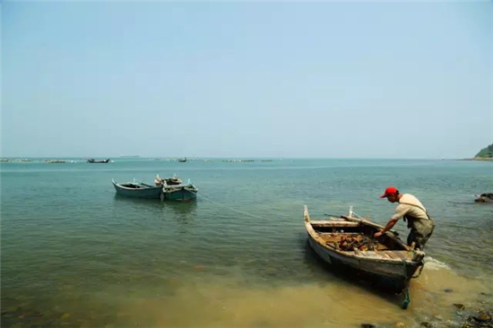 青島這些鄉(xiāng)村小鎮(zhèn)帶你領(lǐng)略初冬的極致美