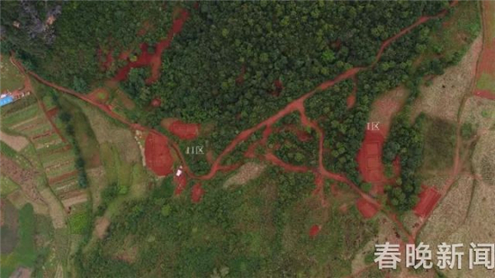 文山小龍墓地出土252件青銅時(shí)代器物 文山小龍墓地出土252件青銅時(shí)代器物