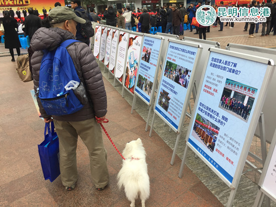市民觀看法治宣傳展板