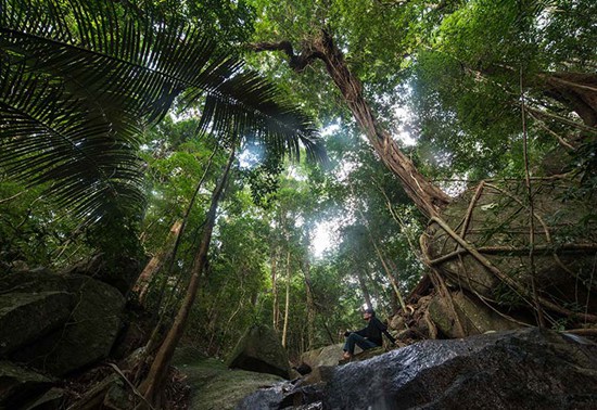 拯救“最孤獨靈長類”的人猿緣在行動