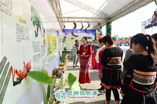 “探秘雨林野生食用植物”科普展亮相第三屆云南名特小吃節(jié)