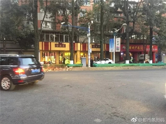 奔馳車翠湖驚心動(dòng)魄穿越綠化帶飛上人行道