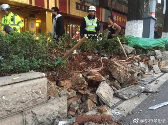 奔馳車翠湖驚心動(dòng)魄穿越綠化帶飛上人行道