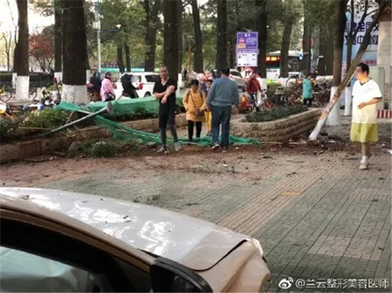 奔馳車翠湖驚心動(dòng)魄穿越綠化帶飛上人行道