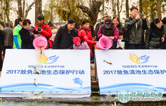 2017年“放魚(yú)滇池生態(tài)保護(hù)行動(dòng)”舉行 10萬(wàn)尾魚(yú)苗入滇池吃藍(lán)藻