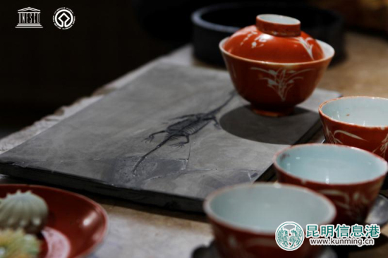 澄江化石地世界自然遺產(chǎn)化石展在昆明淮舍文化空間開幕 澄江化石地世界自然遺產(chǎn)化石展在昆明淮舍文化空間開幕