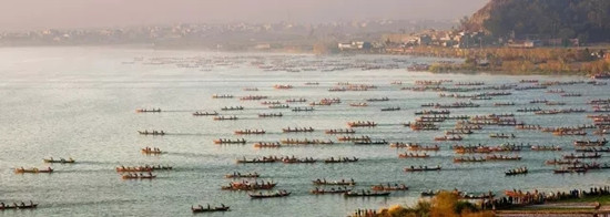 江川星云湖大魚(yú)已上岸 昆明人趕緊南下采購(gòu)腌制