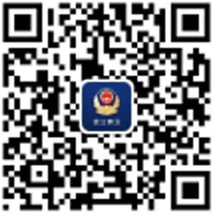 證照辦理、快處快賠、出生落戶 27項(xiàng)公安業(yè)務(wù)用手機(jī)就能辦