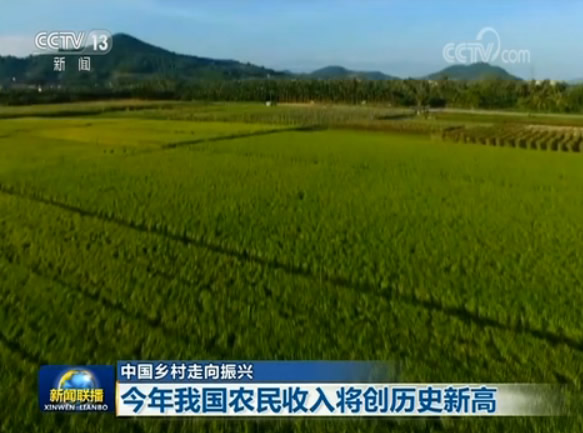 【中國(guó)鄉(xiāng)村走向振興】今年我國(guó)農(nóng)民收入將創(chuàng)歷史新高 【中國(guó)鄉(xiāng)村走向振興】今年我國(guó)農(nóng)民收入將創(chuàng)歷史新高