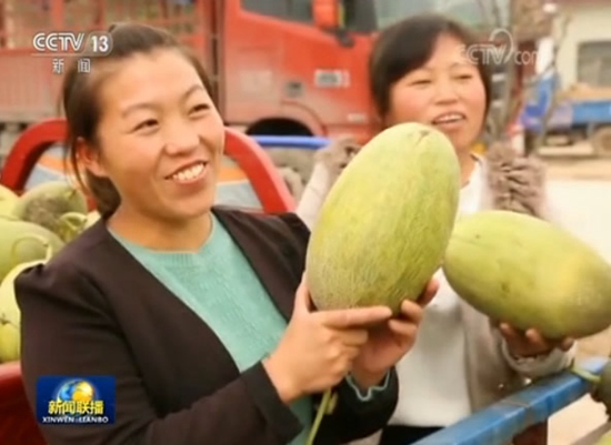 【中國(guó)鄉(xiāng)村走向振興】今年我國(guó)農(nóng)民收入將創(chuàng)歷史新高 【中國(guó)鄉(xiāng)村走向振興】今年我國(guó)農(nóng)民收入將創(chuàng)歷史新高
