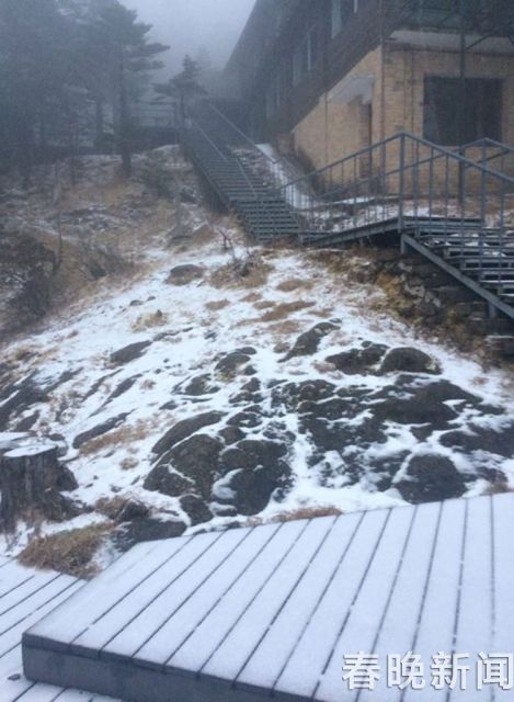 轎子山迎來新年首場雪 轎子山迎來新年首場雪