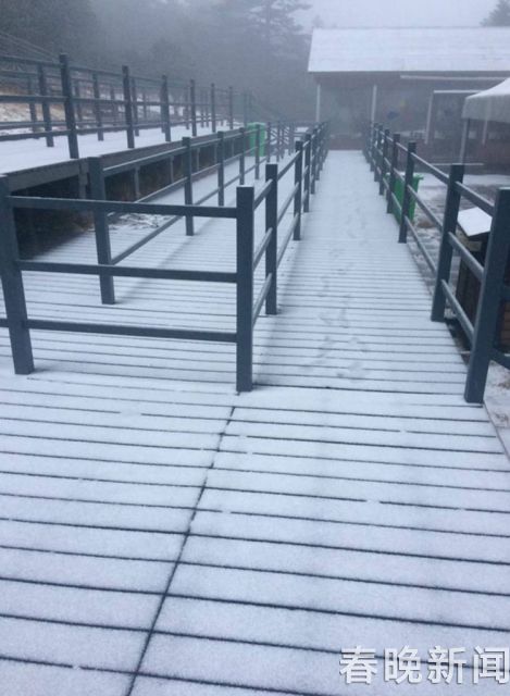 轎子山迎來新年首場雪 轎子山迎來新年首場雪
