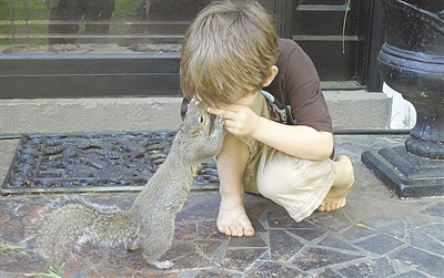 被救松鼠 連續(xù)8年探望恩人