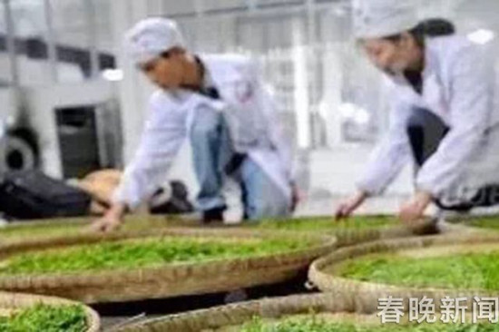 德宏小粒咖啡等云南3優(yōu)勢區(qū)入選國家“特優(yōu)區(qū)”