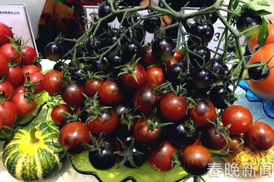 德宏小?？Х鹊仍颇?優(yōu)勢區(qū)入選國家“特優(yōu)區(qū)”