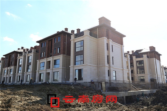 海東俊園實景 海東俊園實景