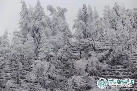 云南新一輪斷崖式降溫 已發(fā)布50個(gè)氣象災(zāi)害預(yù)警