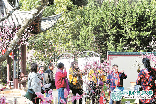 公園景觀提升打造“一園一特色”城市客廳添魅力