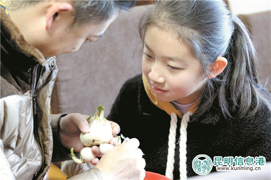 “水仙花雕刻親子賽”走進西華公園 16組家庭為“凌波仙子”凹造型 “水仙花雕刻親子賽”走進西華公園 16組家庭為“凌波仙子”凹造型