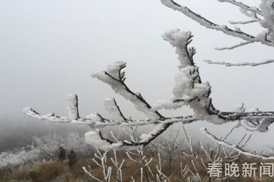 登昆明長蟲山 遇見霧凇的詩情畫意